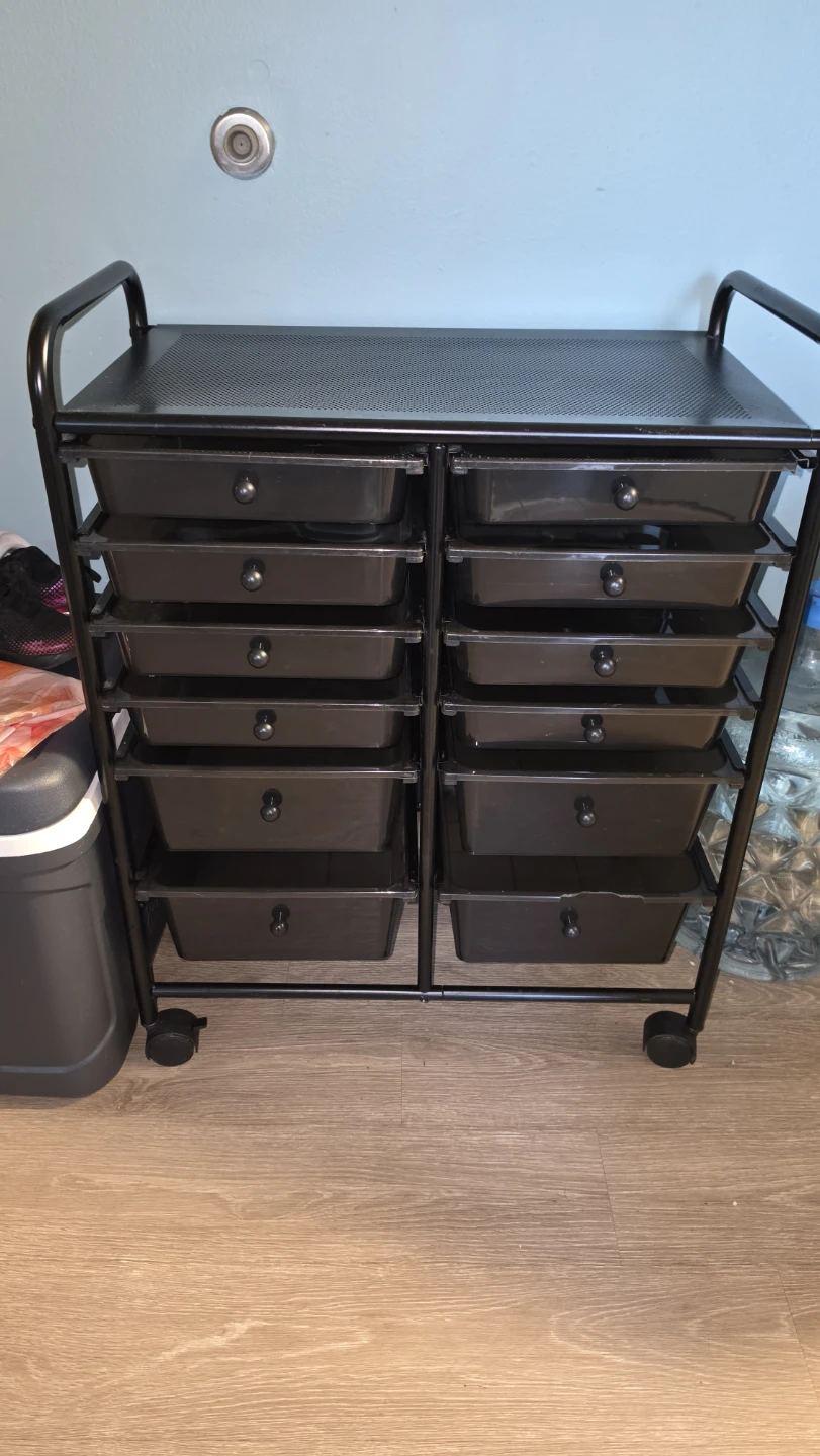 Black 12-Drawer Rolling Storage Cart