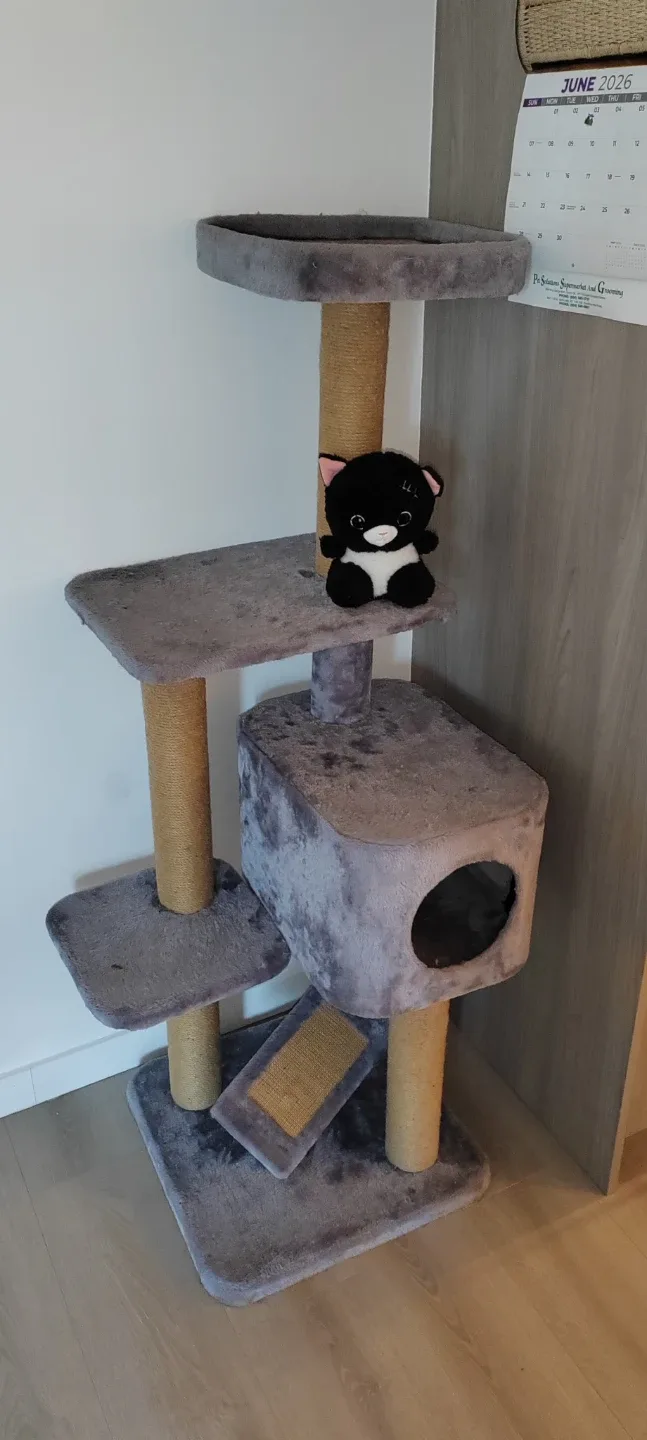 Multi-level Cat Tree with scratching post