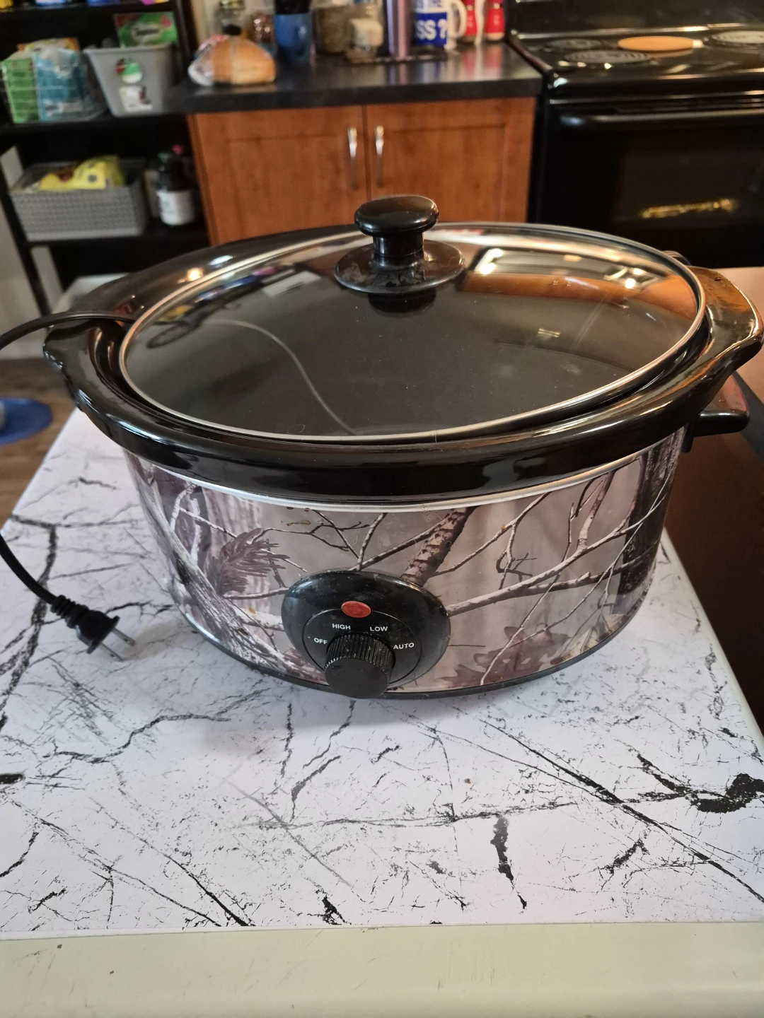 Camo Slow Cooker