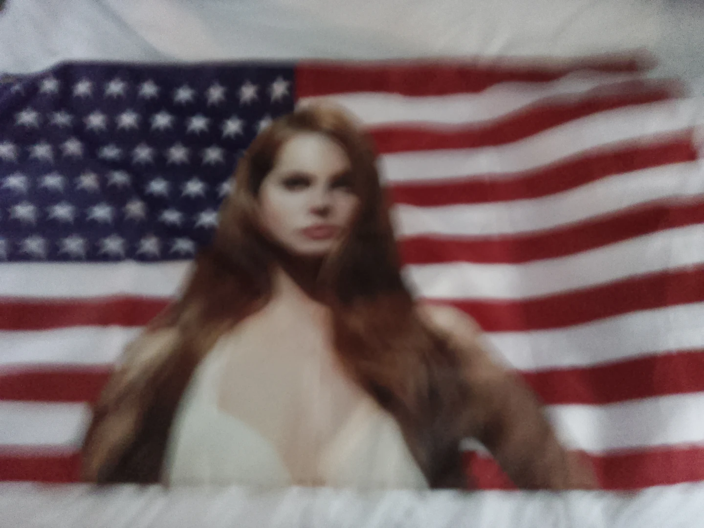 Lana Del Rey American Flag - photo 3