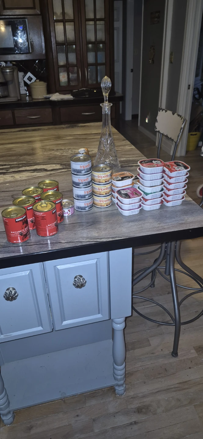 Surplus dog food