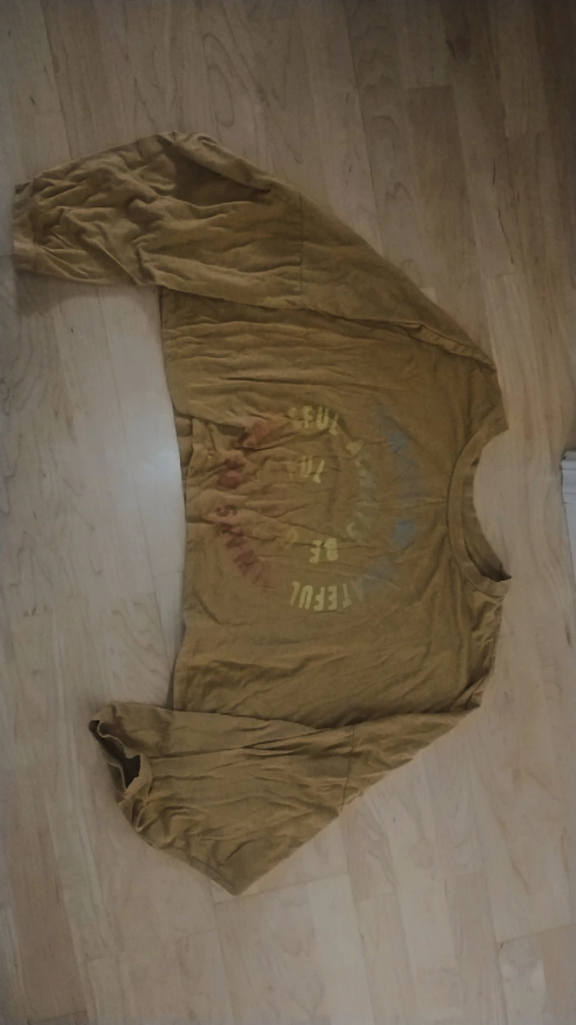 American Eagle Graphic Long Sleeve Shirt