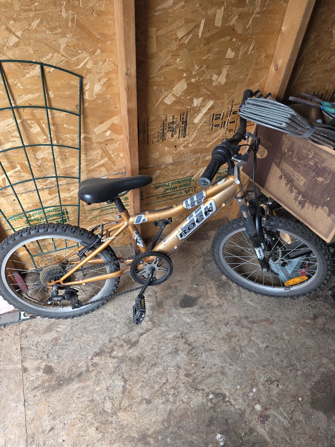 Raleigh Kids Bike