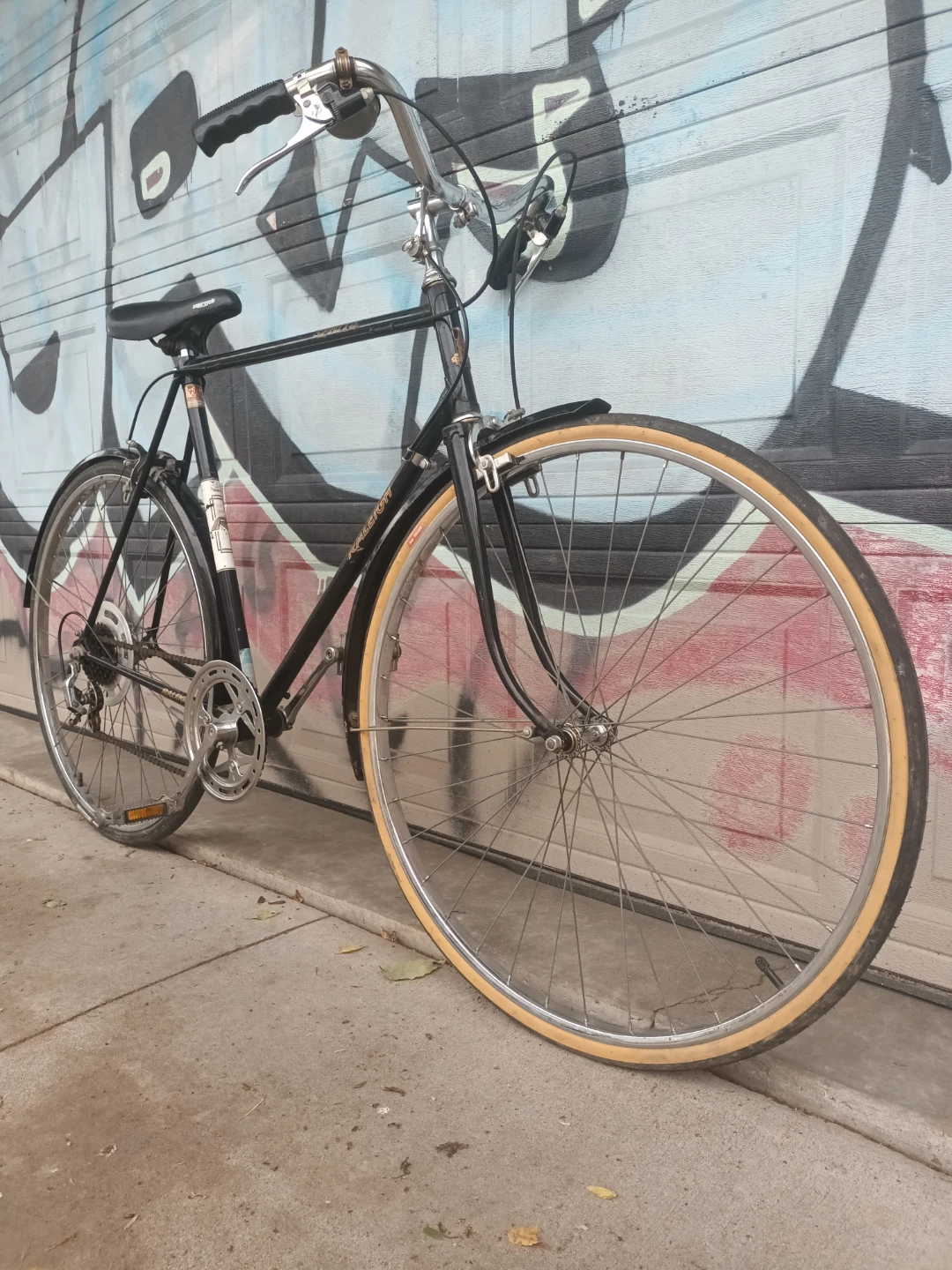Raleigh Bike