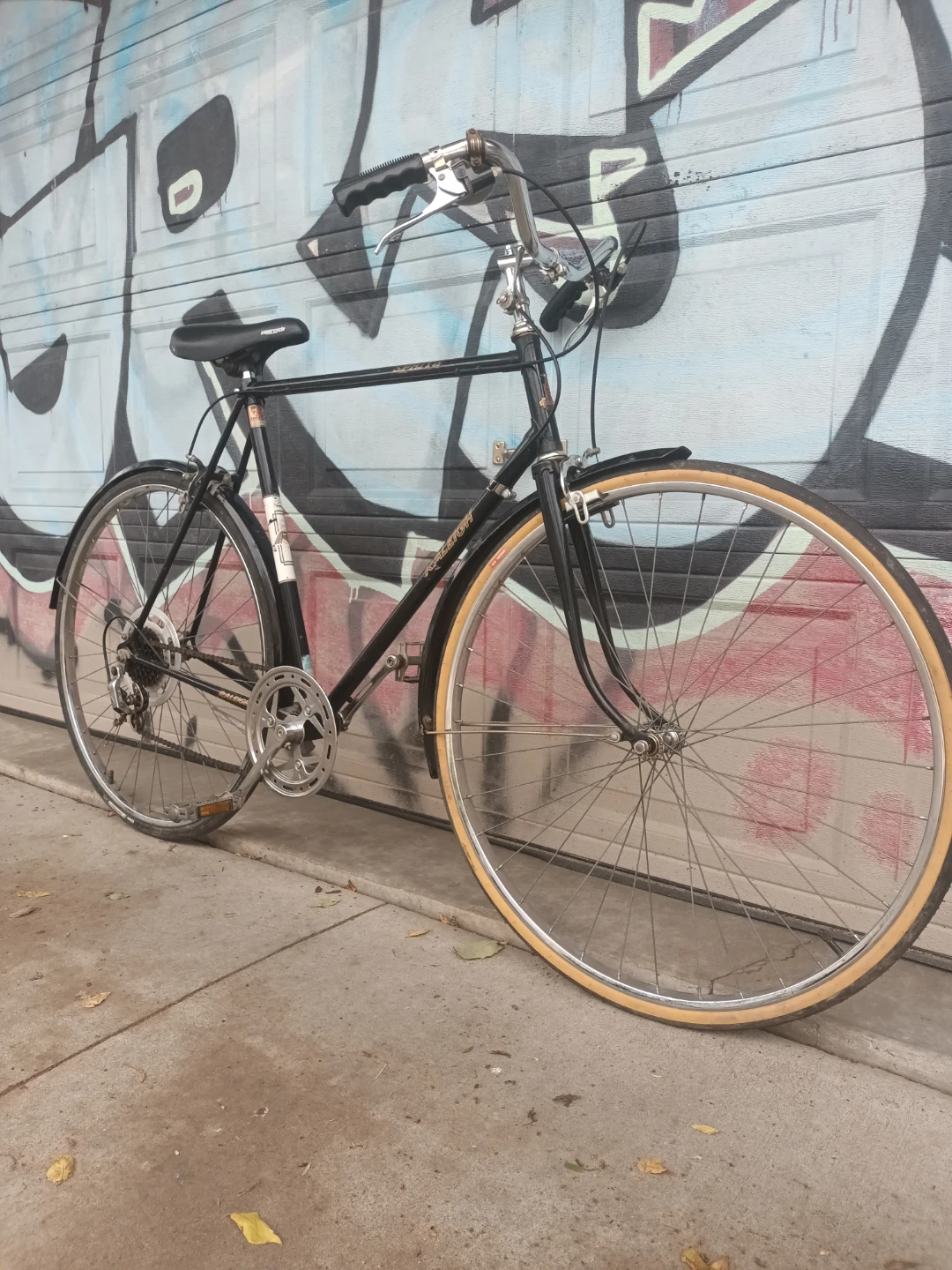 Raleigh Bike - photo 2