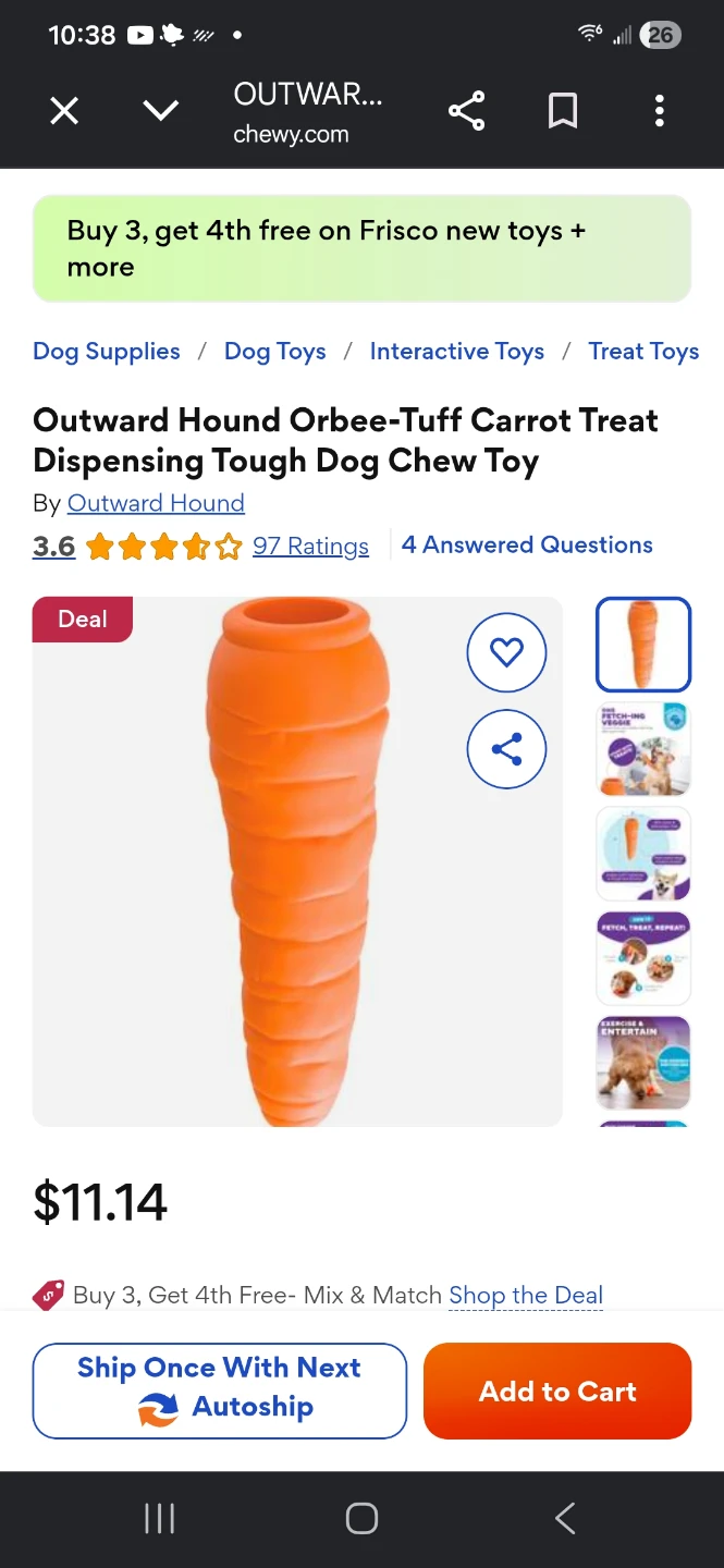 Outward Hound Orbee-Tuff Carrot Treat Dispensing Dog Chew Toy ⚽