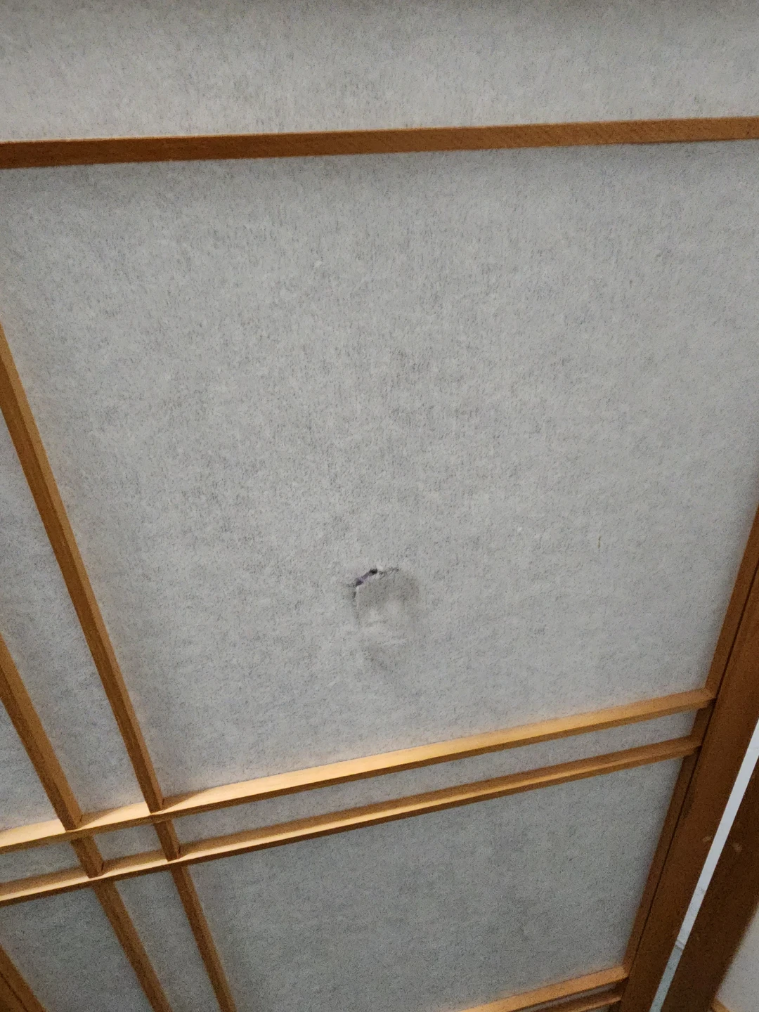 Japanesel Room Divider Screen - photo 2