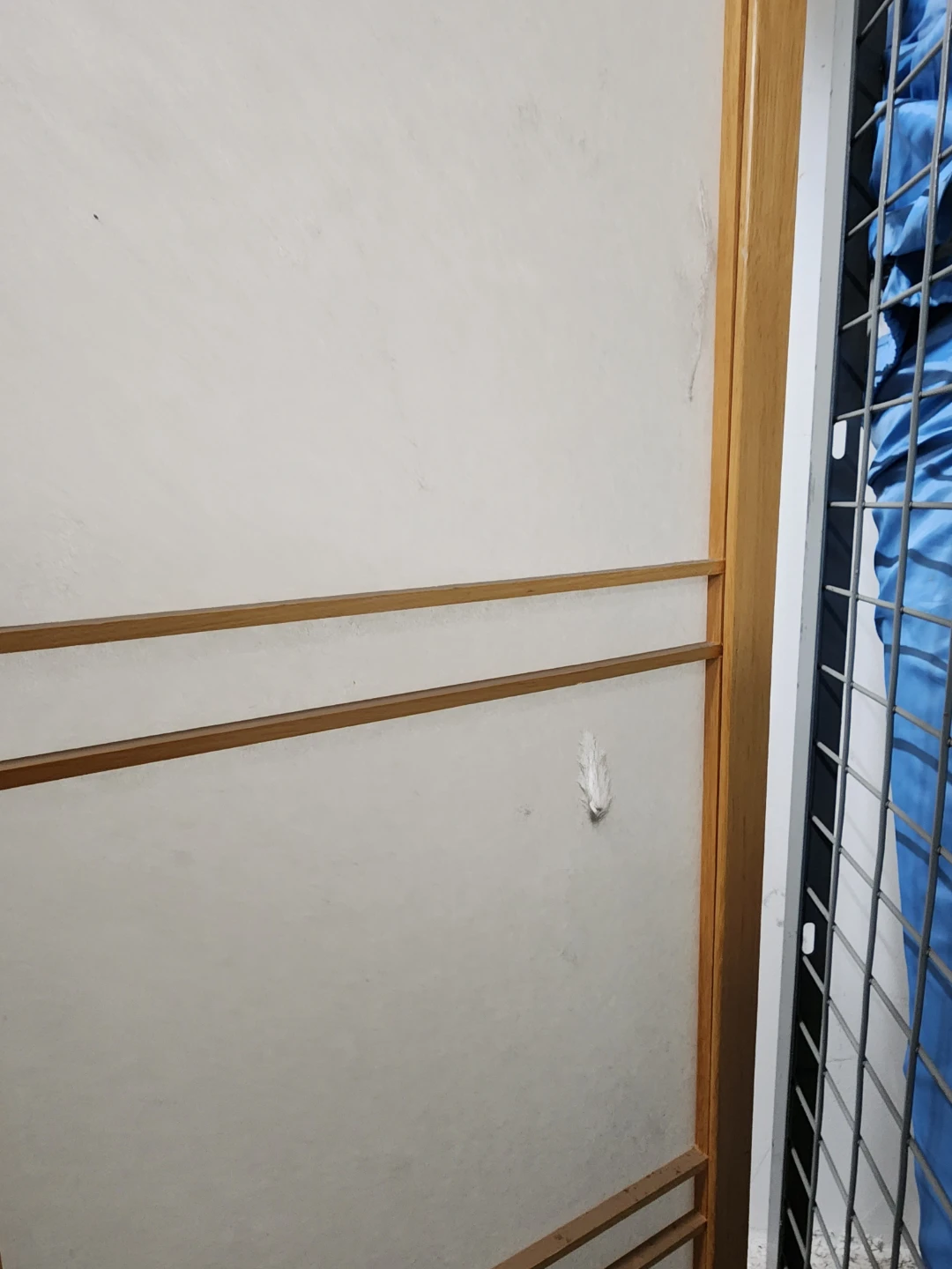 Japanesel Room Divider Screen - photo 3