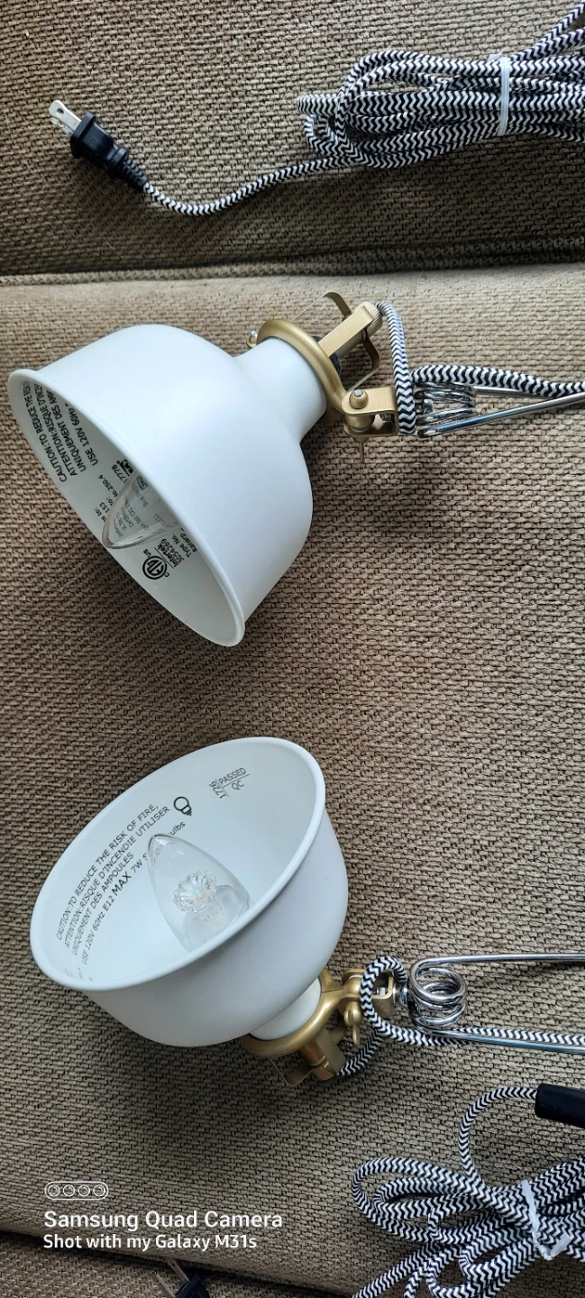 Two White Desk Lamps with Black & White Cords