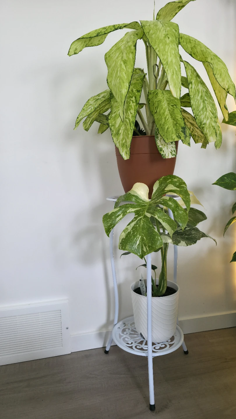 White Metal Plant Stand - photo 3