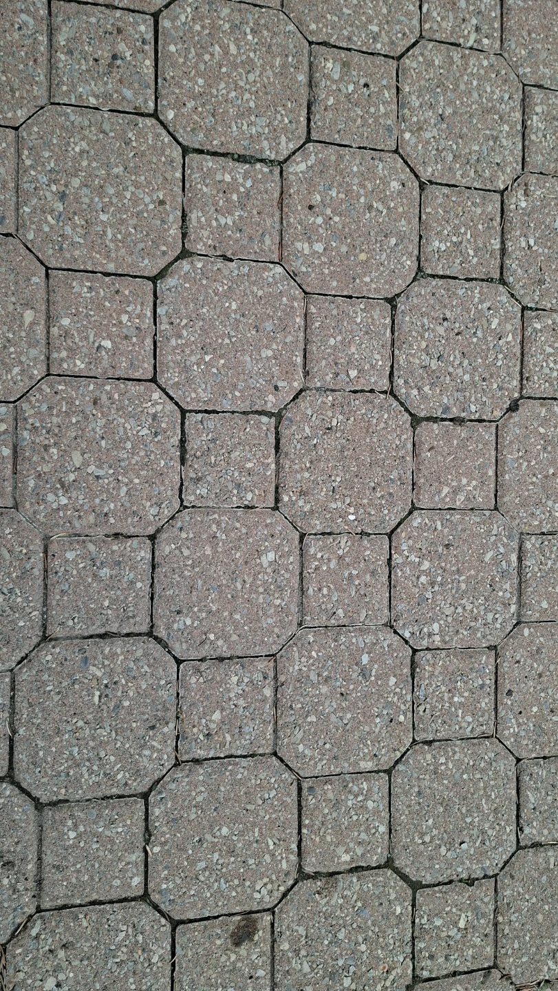 Interlocking Paving Stones - photo 2