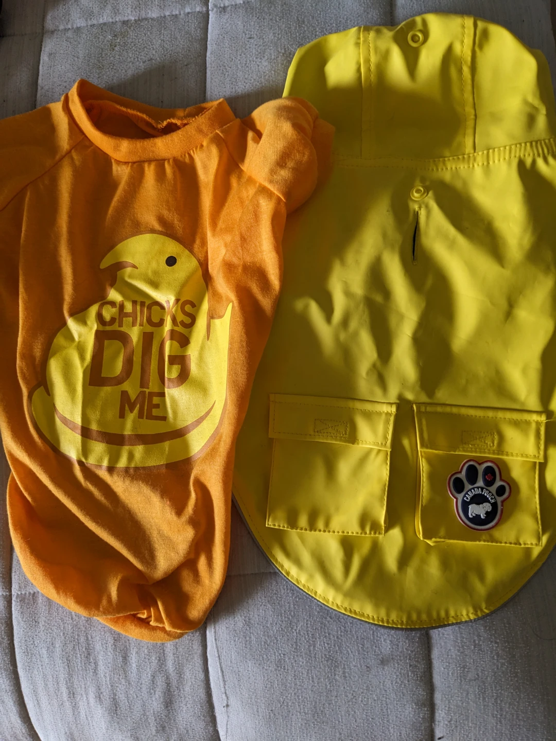 Bundle of 4 Dog Sweaters, Dog Shirt and Raincoat - photo 3