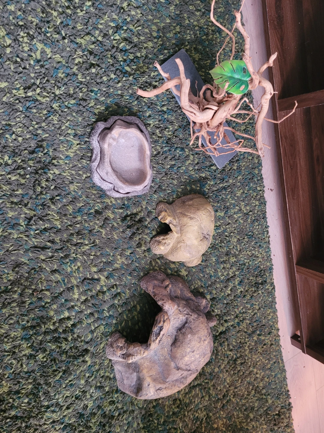 40 Gallon Terrarium + Decorations + Free Stand - photo 3