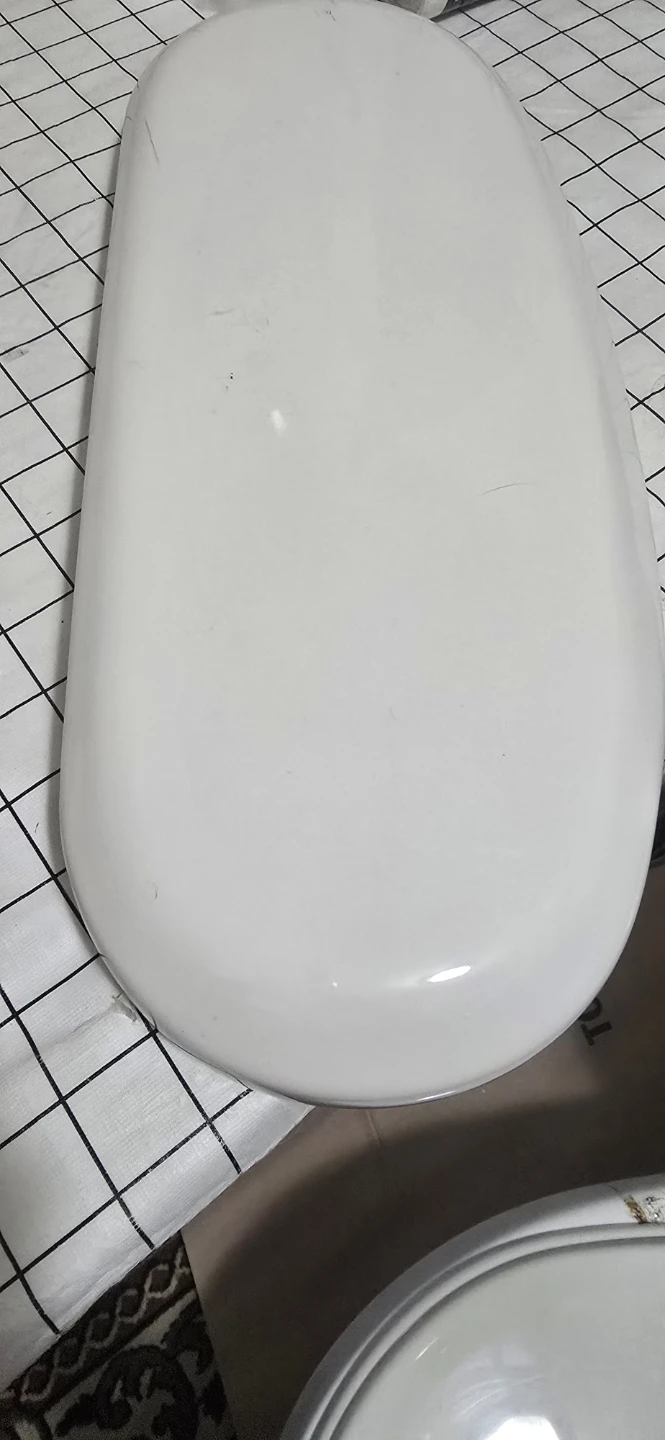 White Toilet Seat with Reducer Ring - photo 2