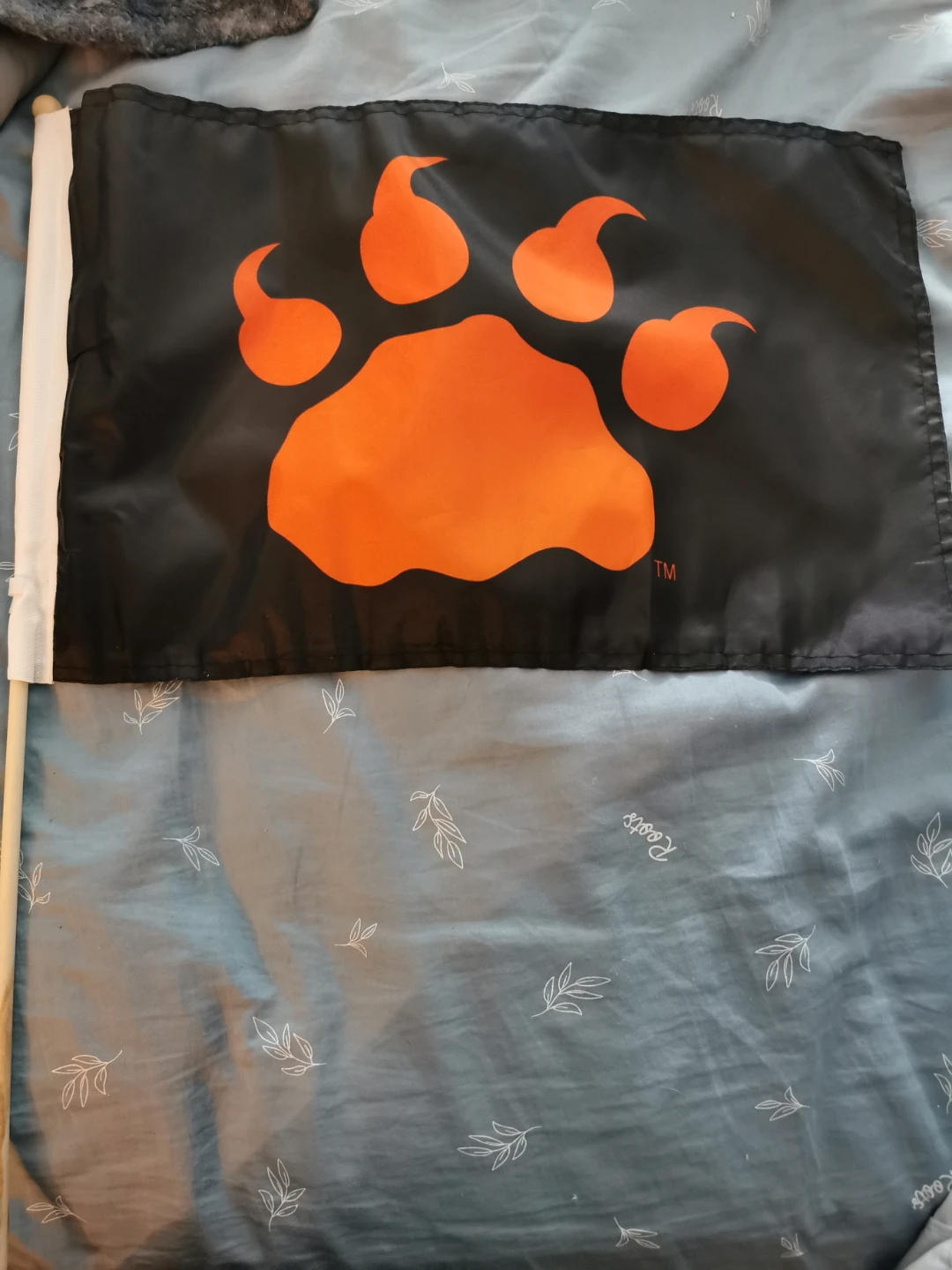 BC Lions flag