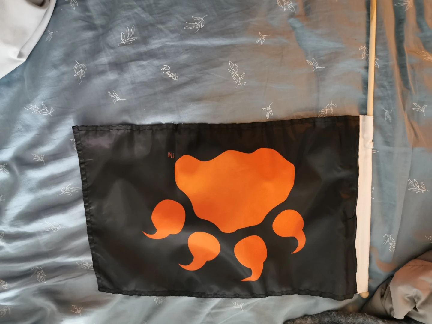 BC Lions flag - photo 2