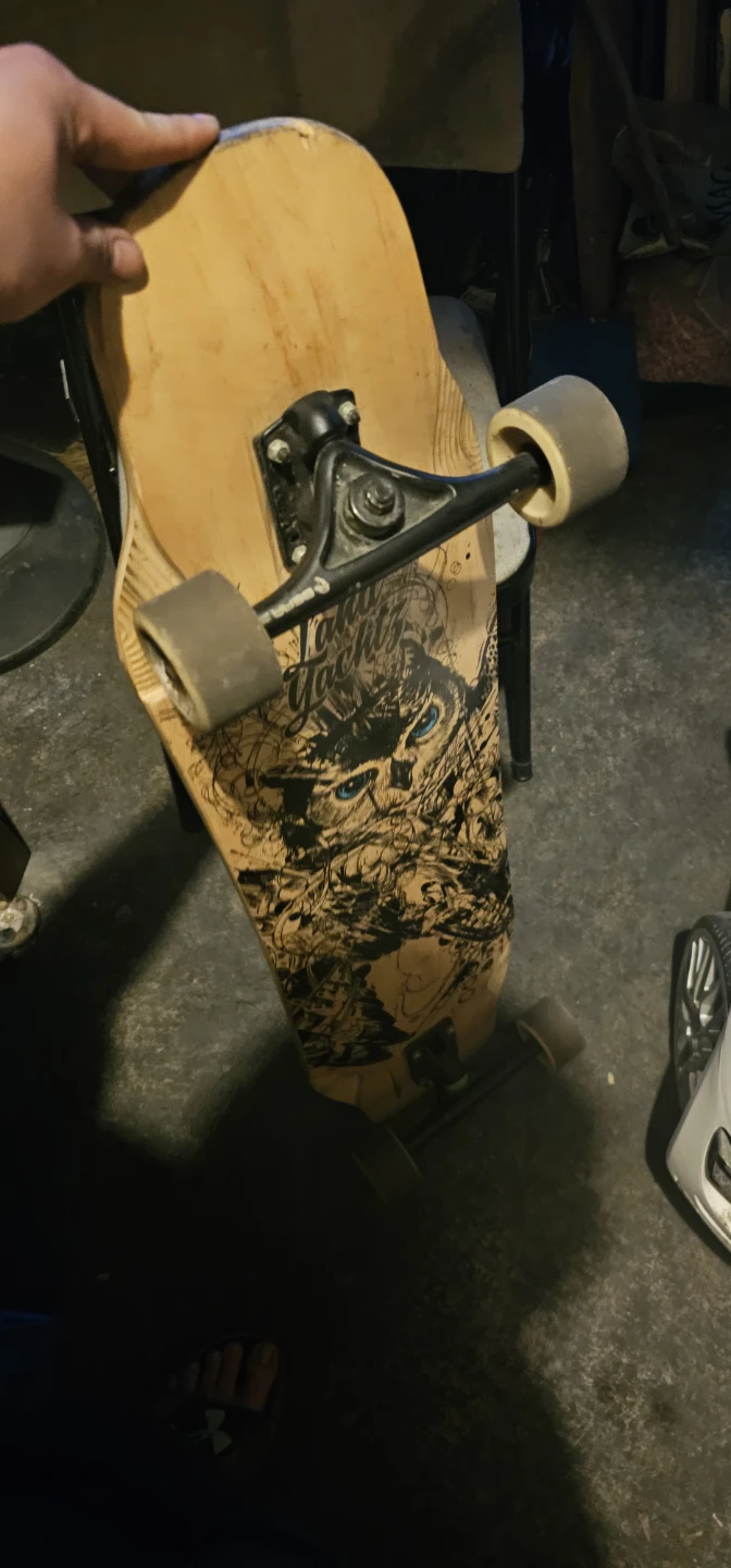 Landyachtz Longboard Skateboard