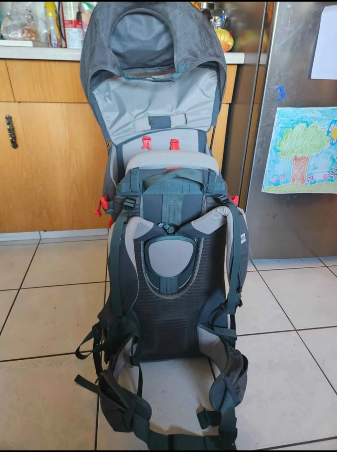 Child Carrier Backpack