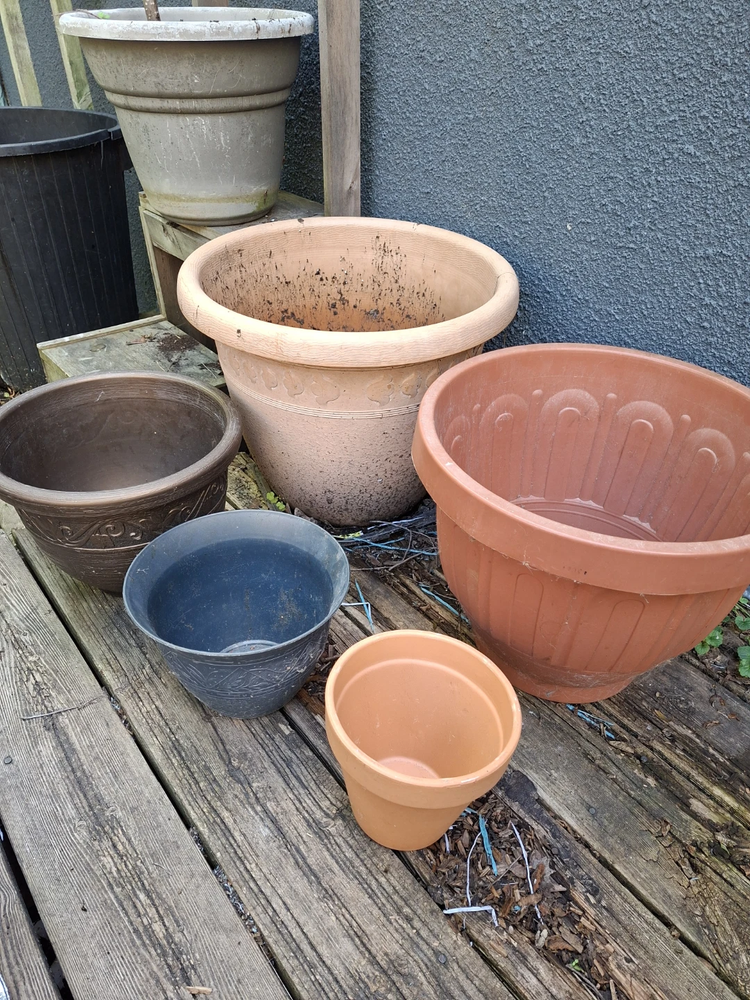 Assorted Plant Pots PRICED SINGLY