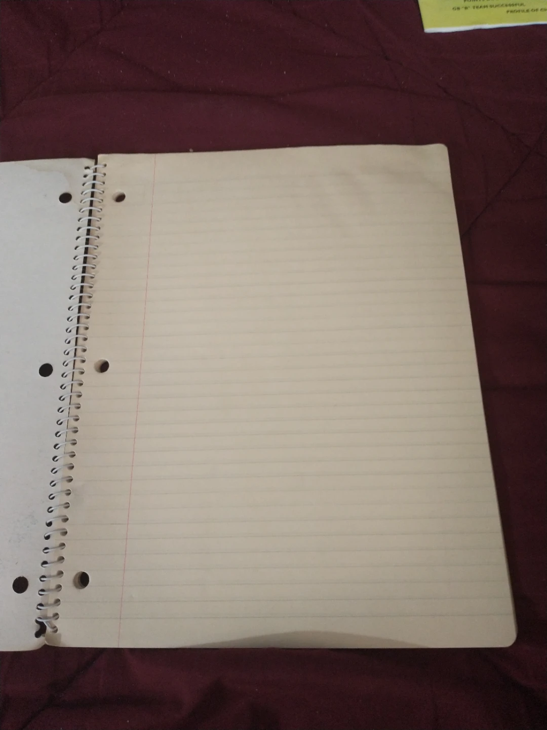 1980s NHL Lafleur Salming Hockey Hall of Fame Notebook - photo 5