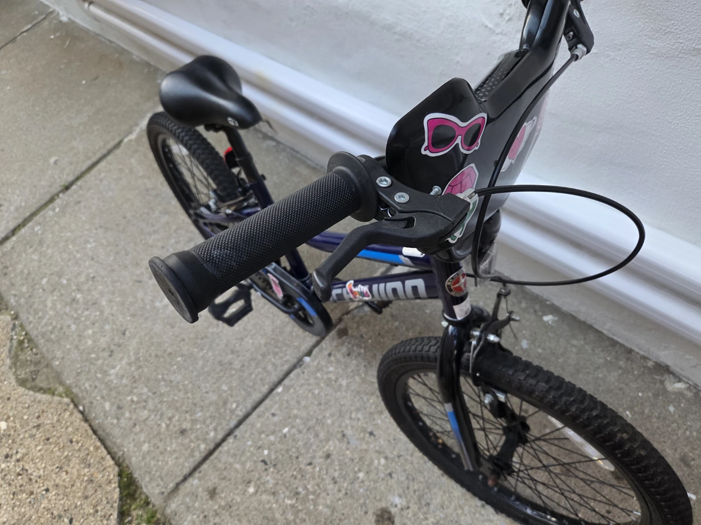 Schwinn Kids Bike