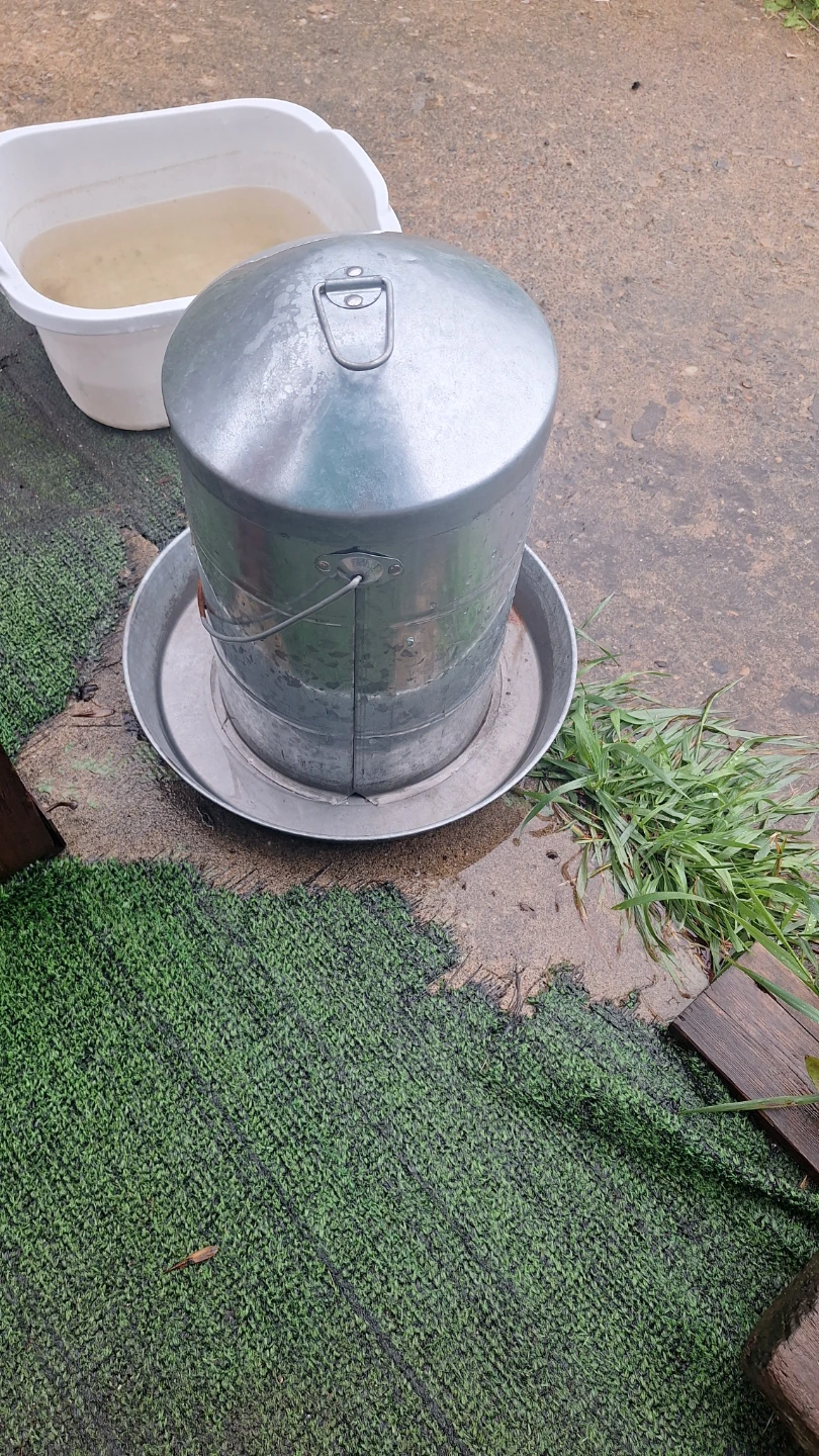 Galvanized Steel Chicken Feeder