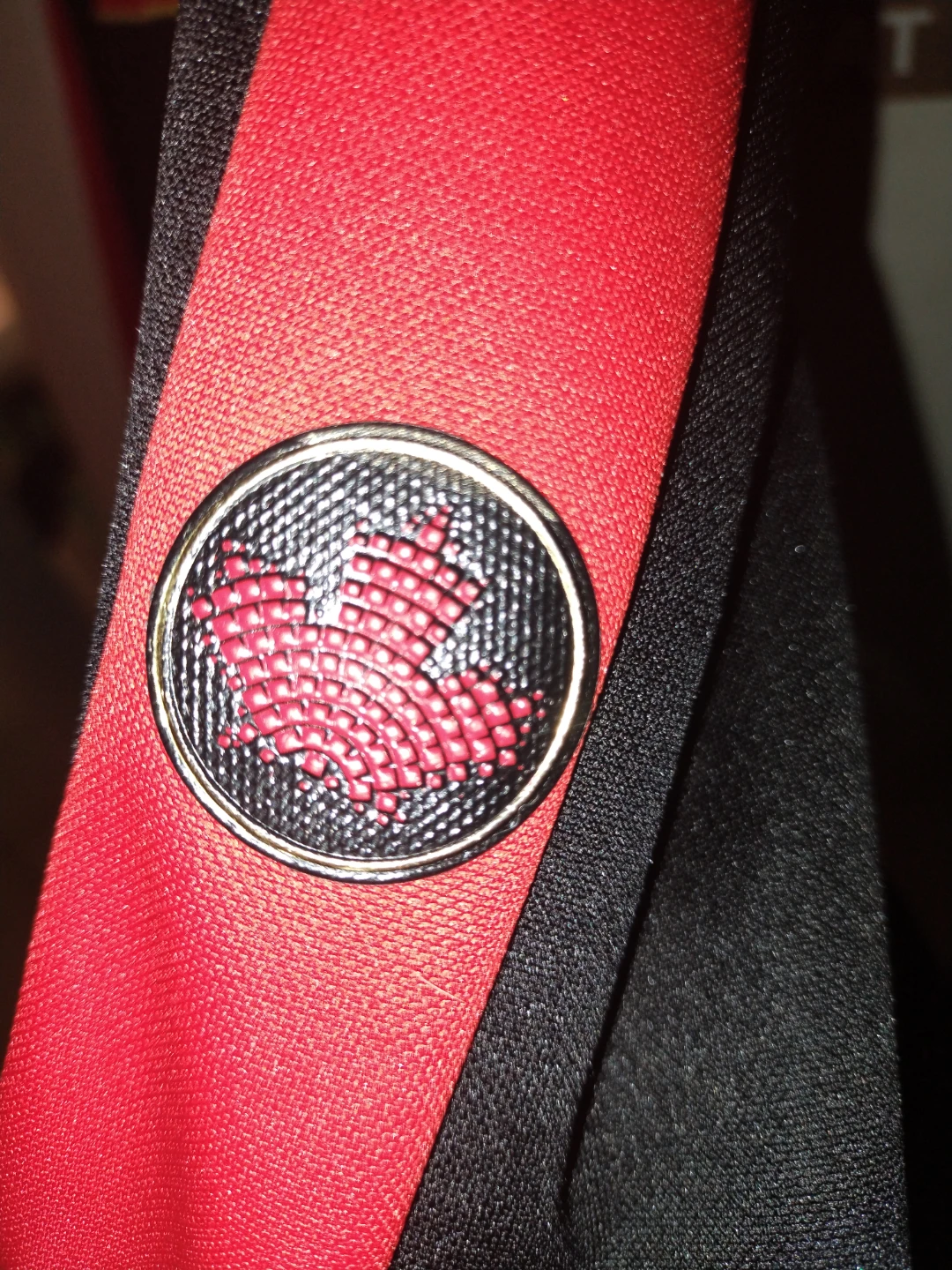 Canada Fifa world Cup jacket - photo 2