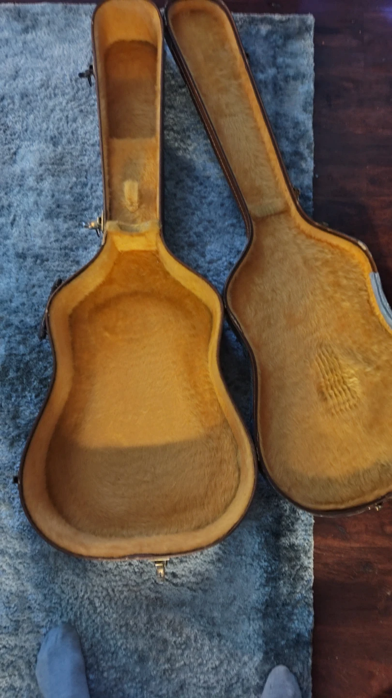 Vintage Guitar Case