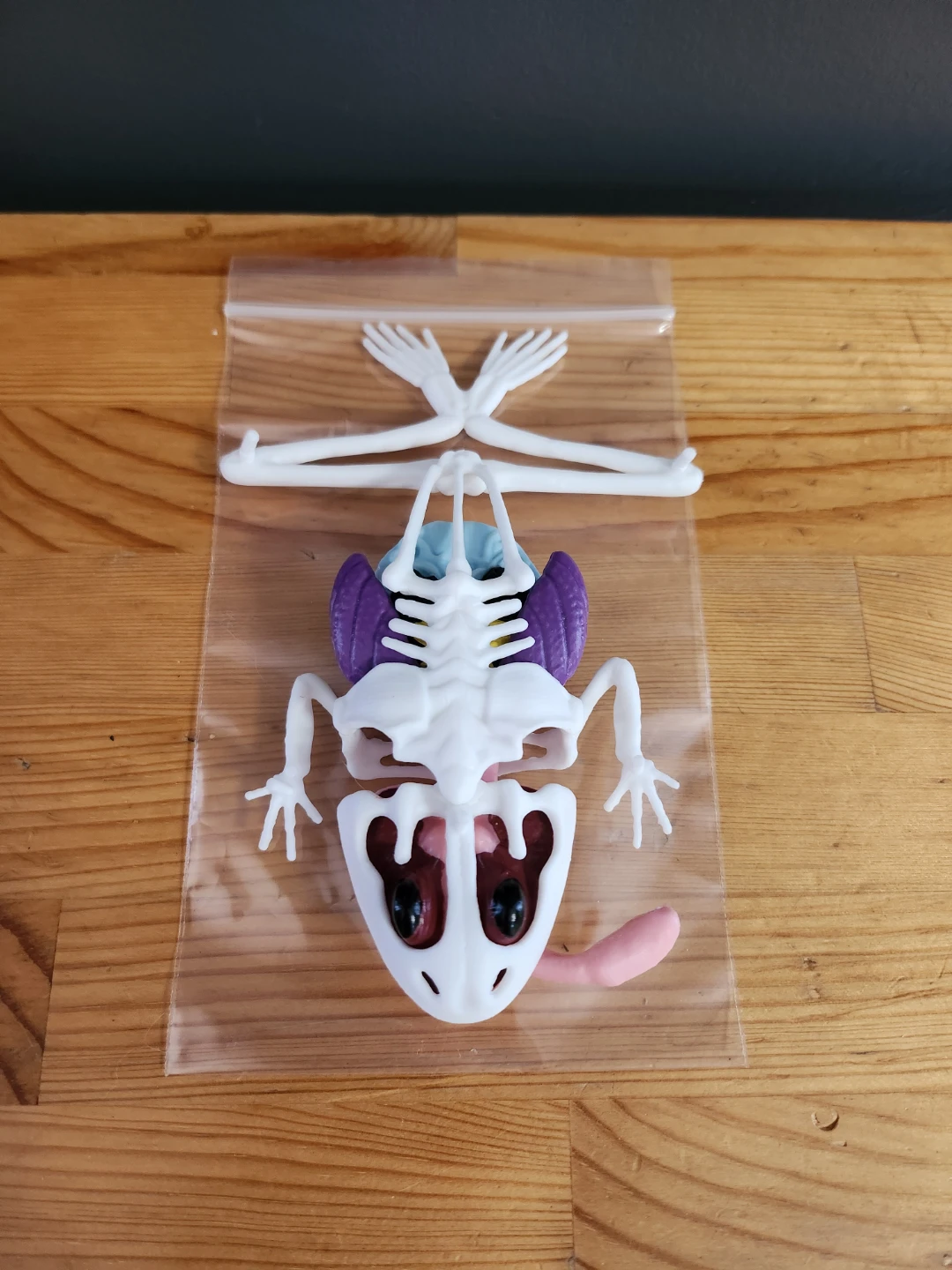 Dissect-It Frog Lab anatomy kit 4D Master Frog Anatomy Model ⚽ - photo 3