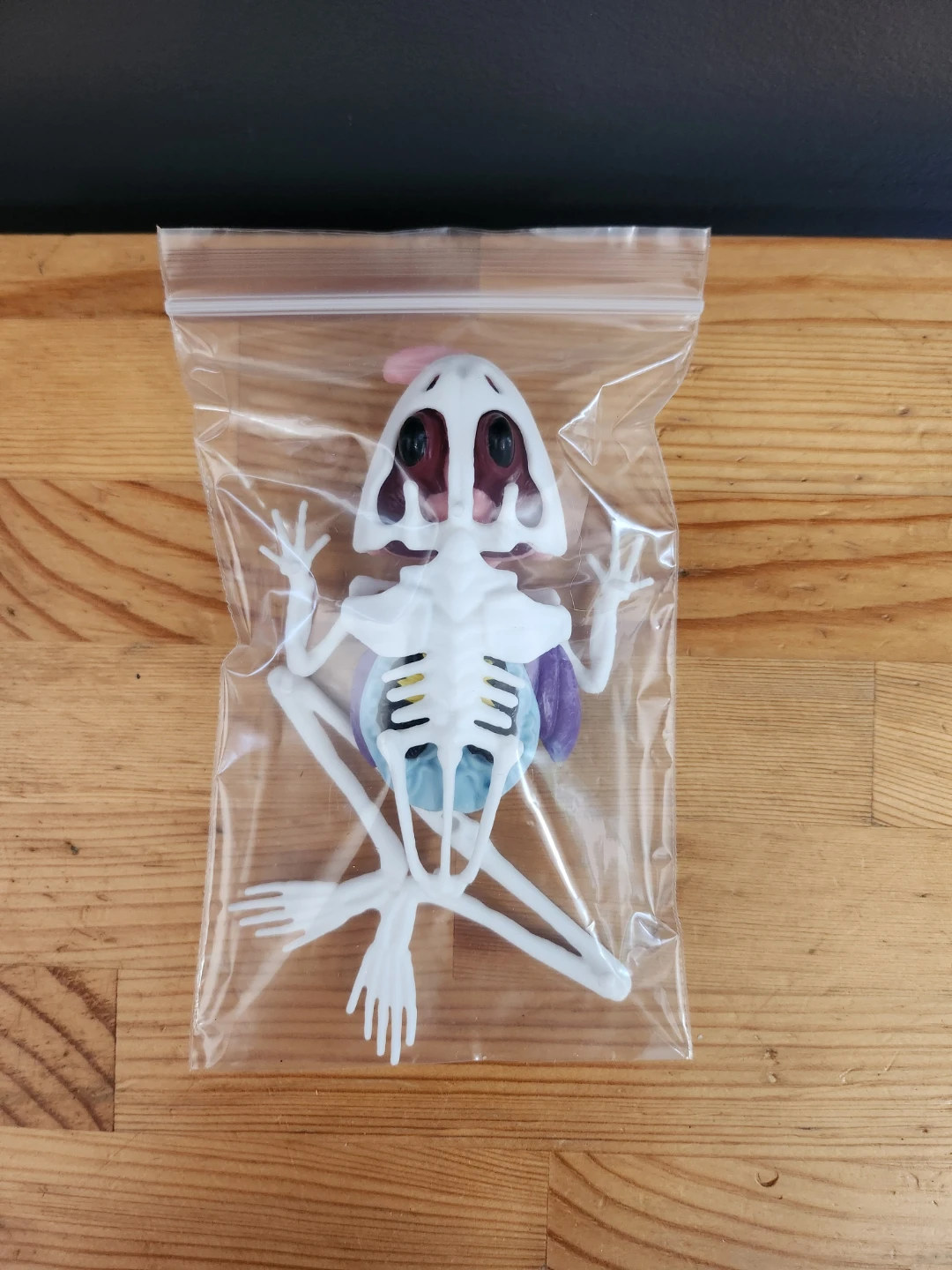 Dissect-It Frog Lab anatomy kit 4D Master Frog Anatomy Model ⚽ - photo 5