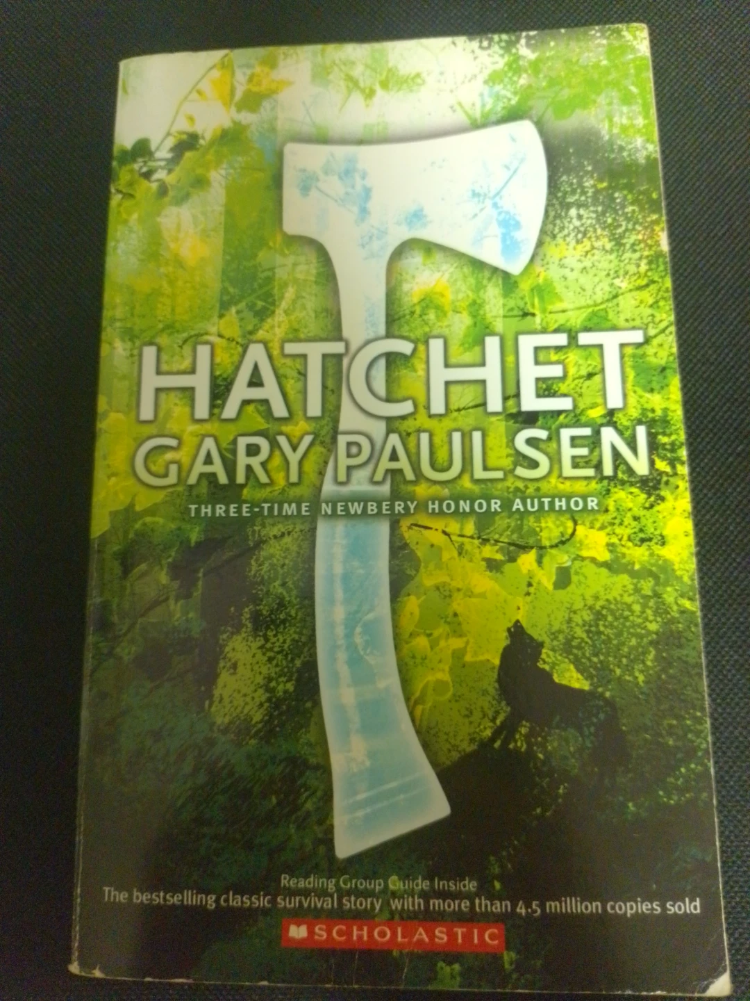 Hatchet by Gary Paulsen Paperback Book
