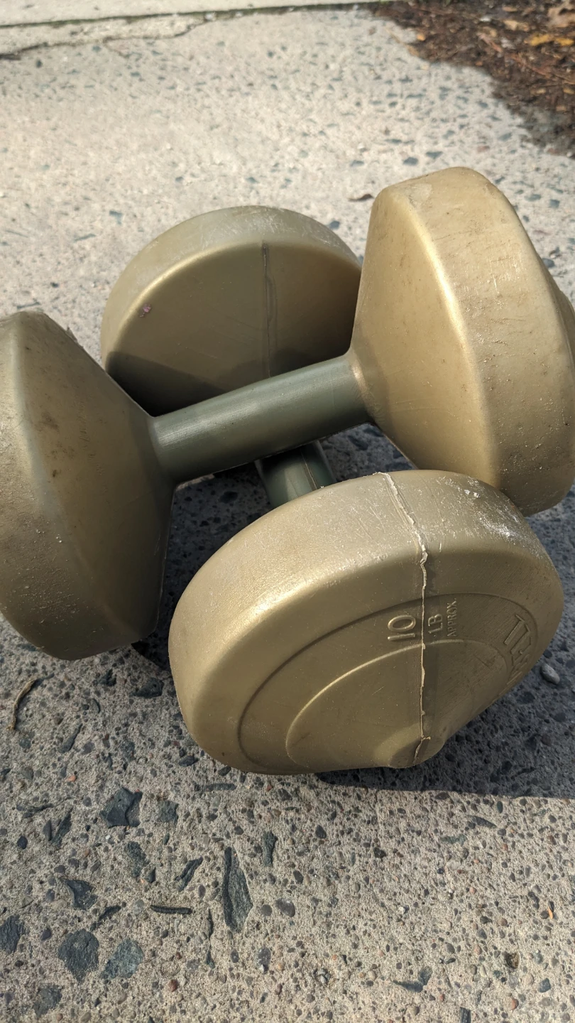 Gold Dumbbells 10 lbs (4.5 kg pair) - photo 3
