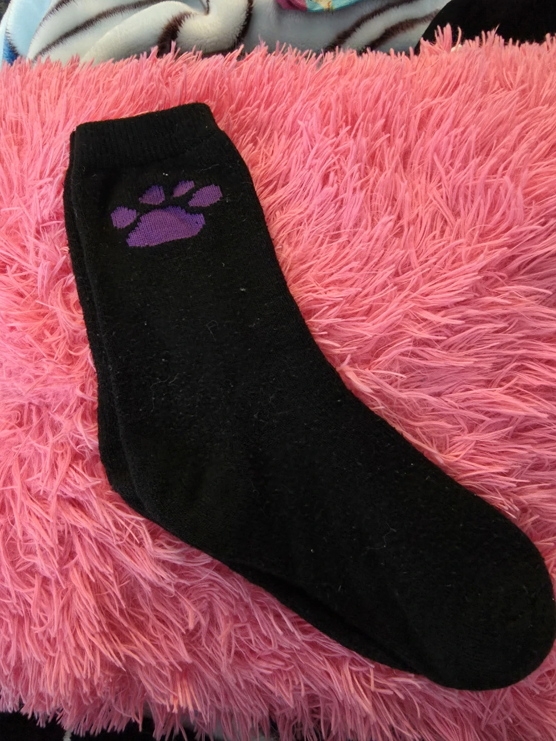 Black Socks with Purple Paw Print