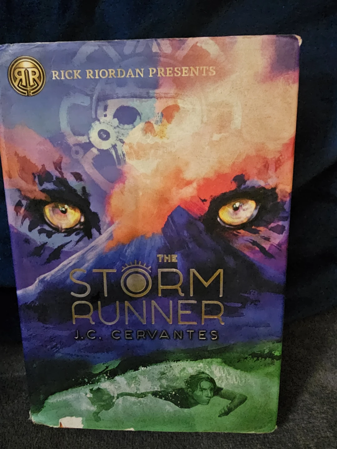 The Storm Runner by J.C. Cervantes Book