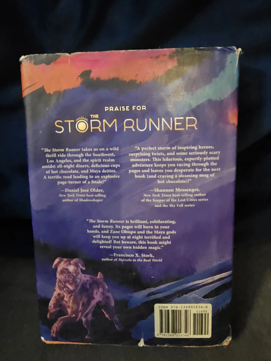 The Storm Runner by J.C. Cervantes Book - photo 3