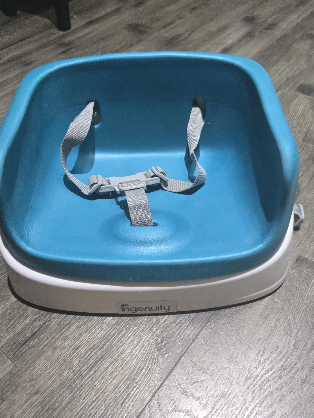 Ingenuity Booster Seat