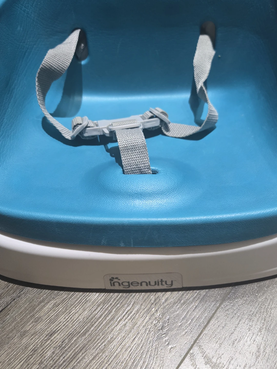 Ingenuity Booster Seat - photo 2