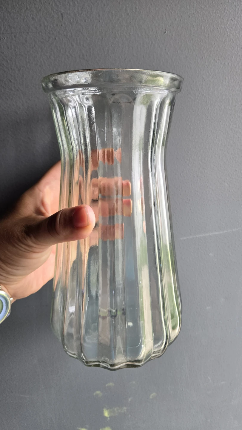 Clear flower Glass Vase