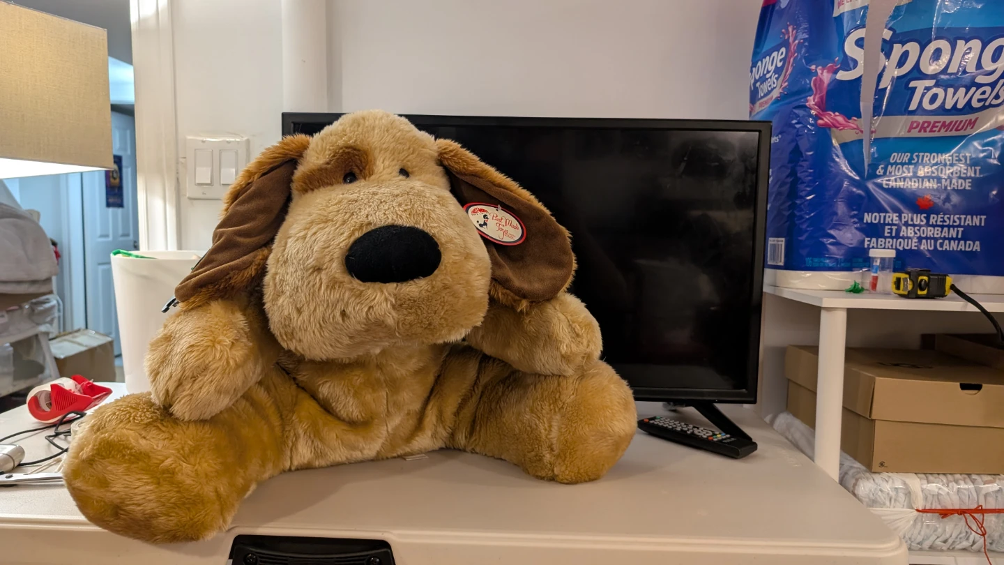 Ty Plush Dog Stuffed Animal