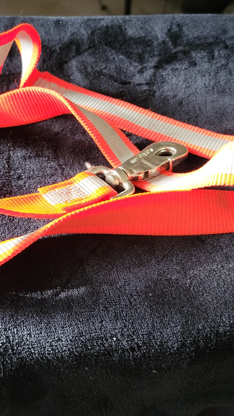 Bright Orange Dog Leash with Reflective Stripes