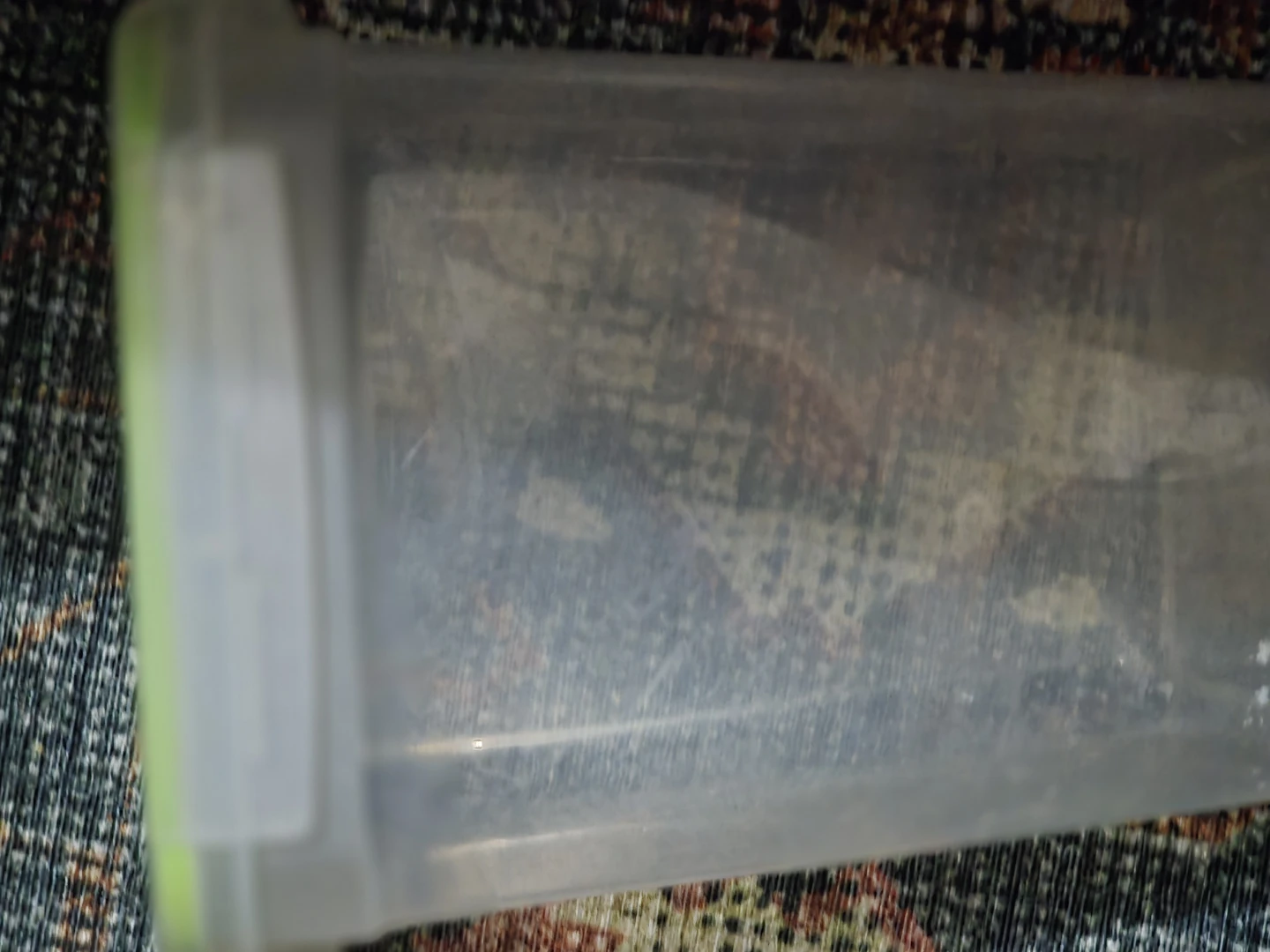 Plastic Food Storage Container - photo 2