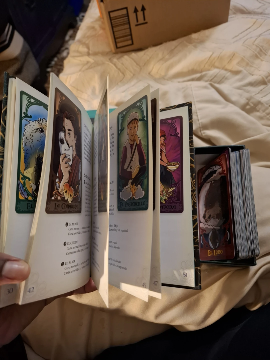 Ocultismo Oracle Deck and Book - photo 4