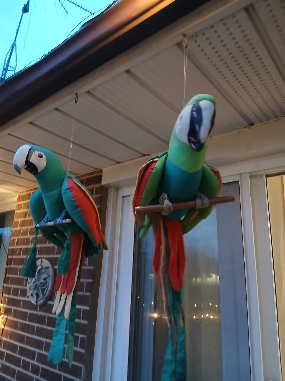 Set of 2 Hanging Macaw Parrots - photo 3