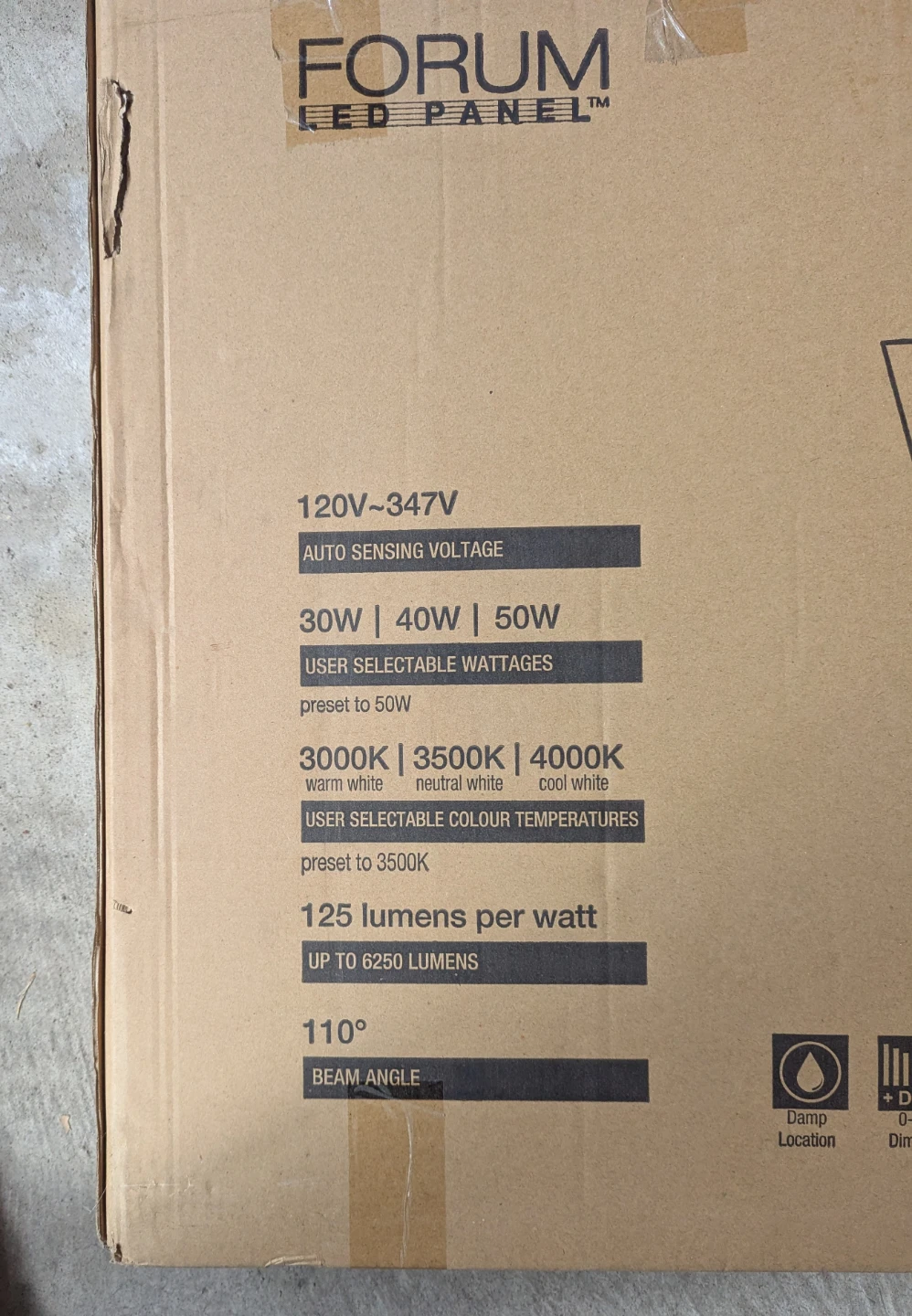 Forum LED Panel Light 2'x4'