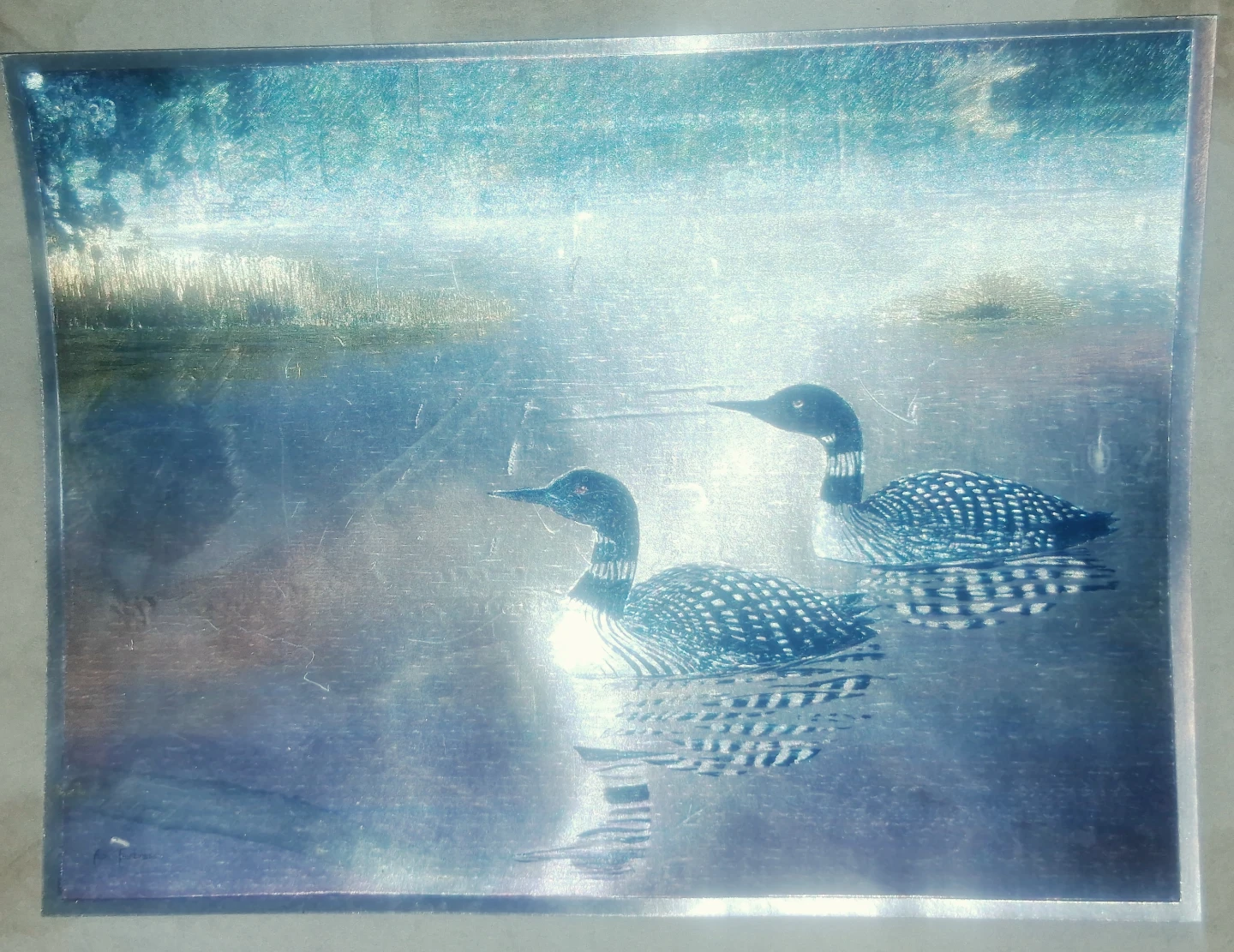 Decorative Art - Two Loons