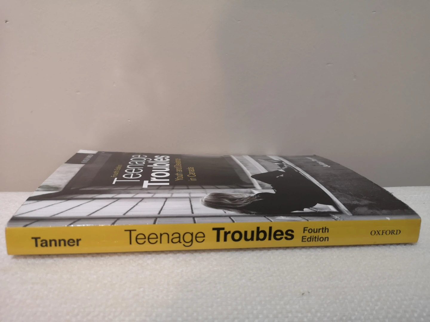 Teenage Troubles: Youth and Deviance in Canada, Fourth Edition - photo 2