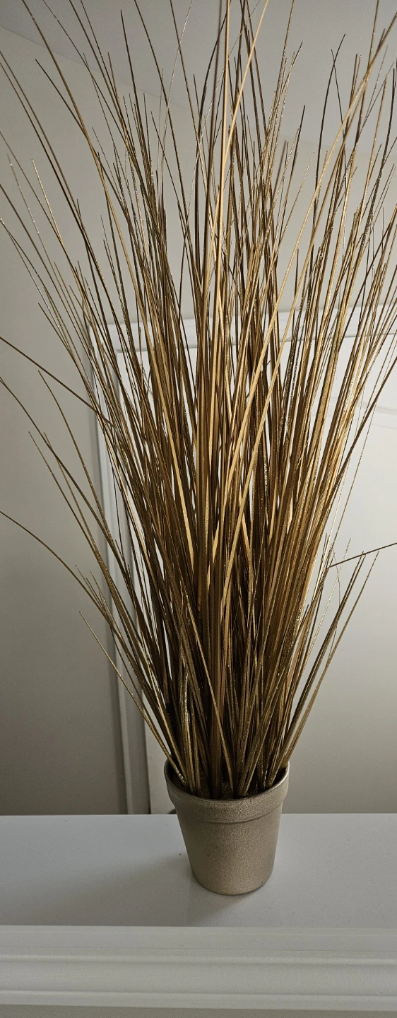 Gold Decorative Grass in Pot