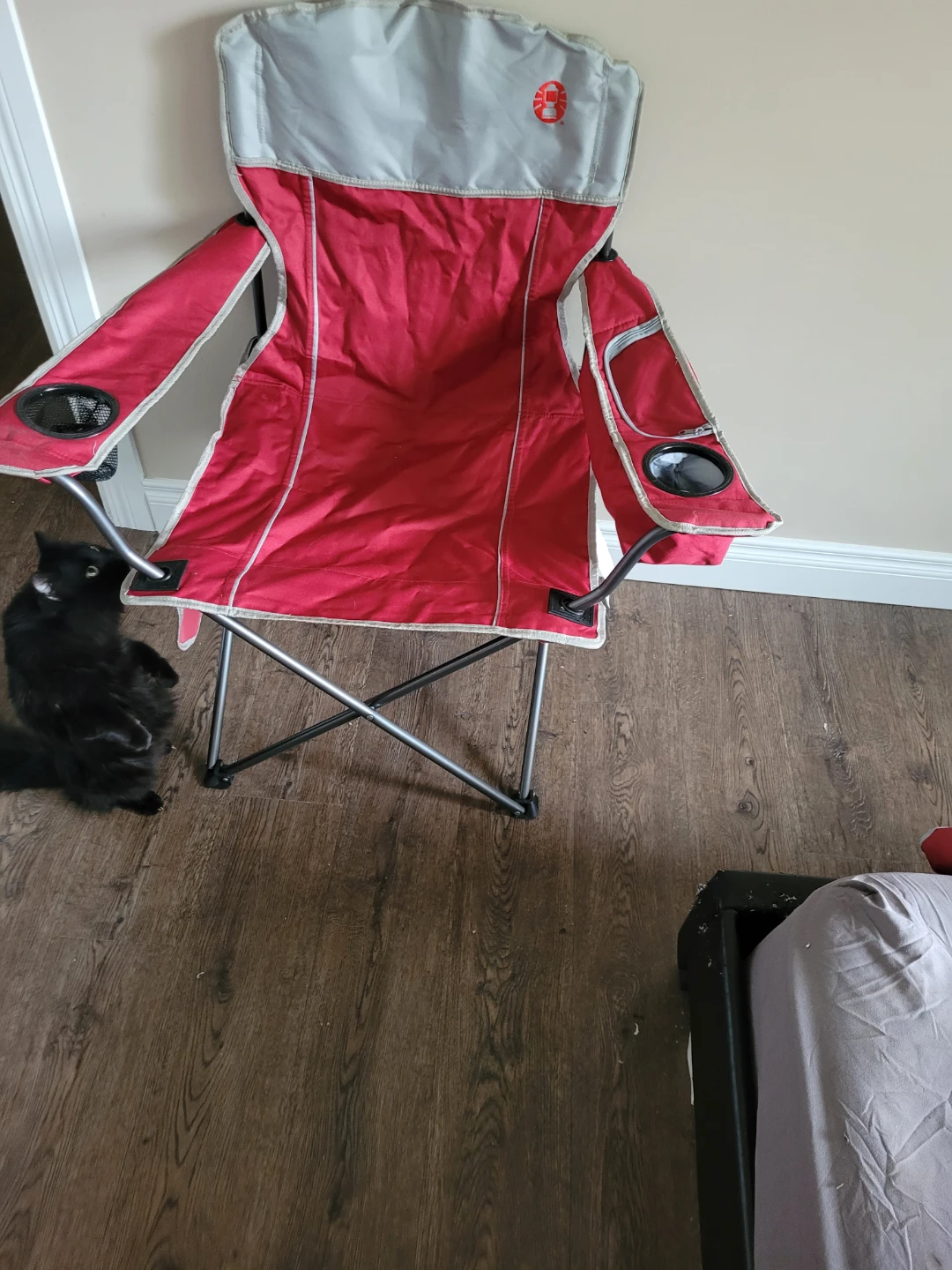 Brand new Coleman Oversized Camping Chair