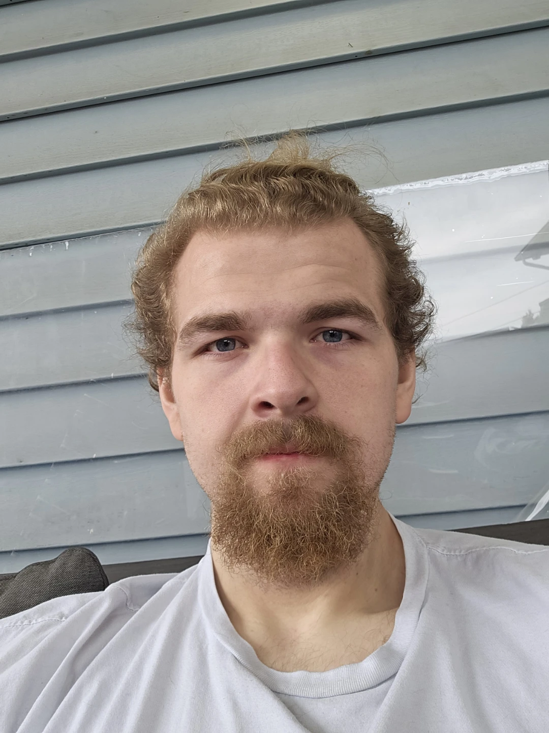 Need help?