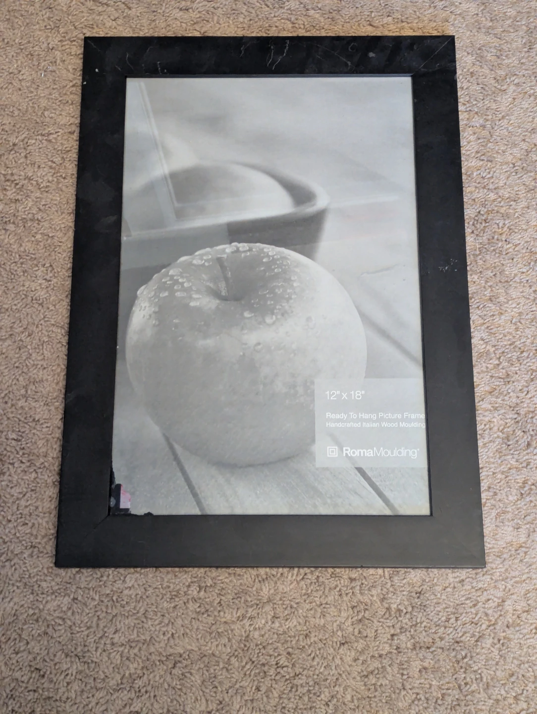Roma Moulding 12" by 18" Frame NWT